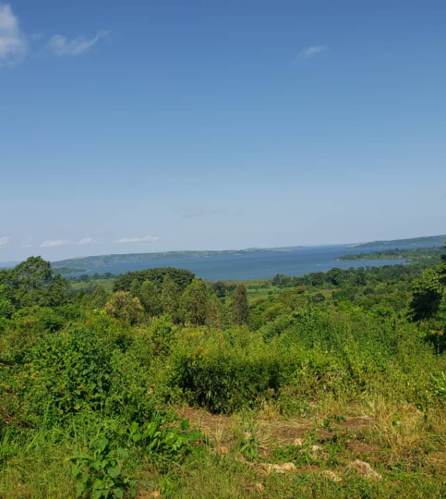 WhatsApp Image 2022-06-04 at 8.51.49 PM.jpeg